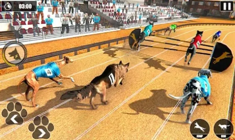 Khám Phá Cách Chơi Game Đua Chó Tại Xin88 Chi Tiết Nhất 2 Cách chơi game đua chó tại Xin88