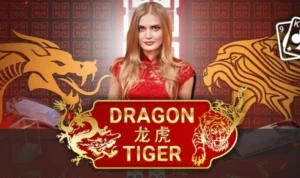 Dragon Tiger tại Xin88