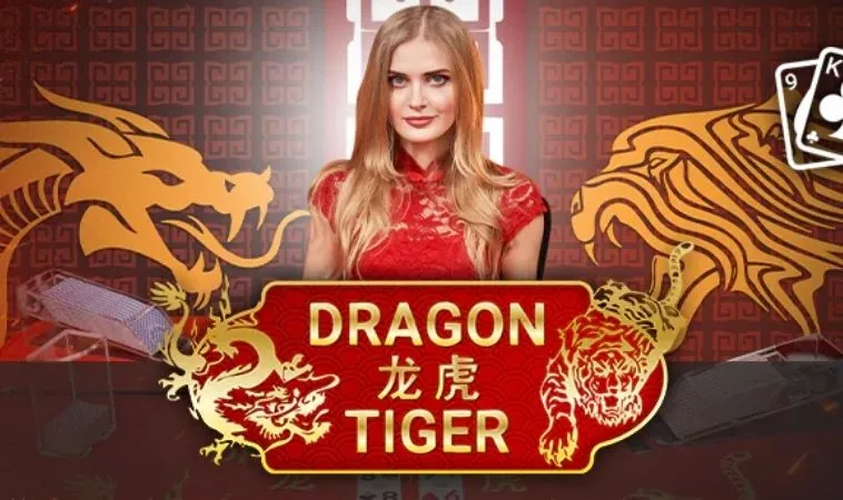 Dragon Tiger tại Xin88
